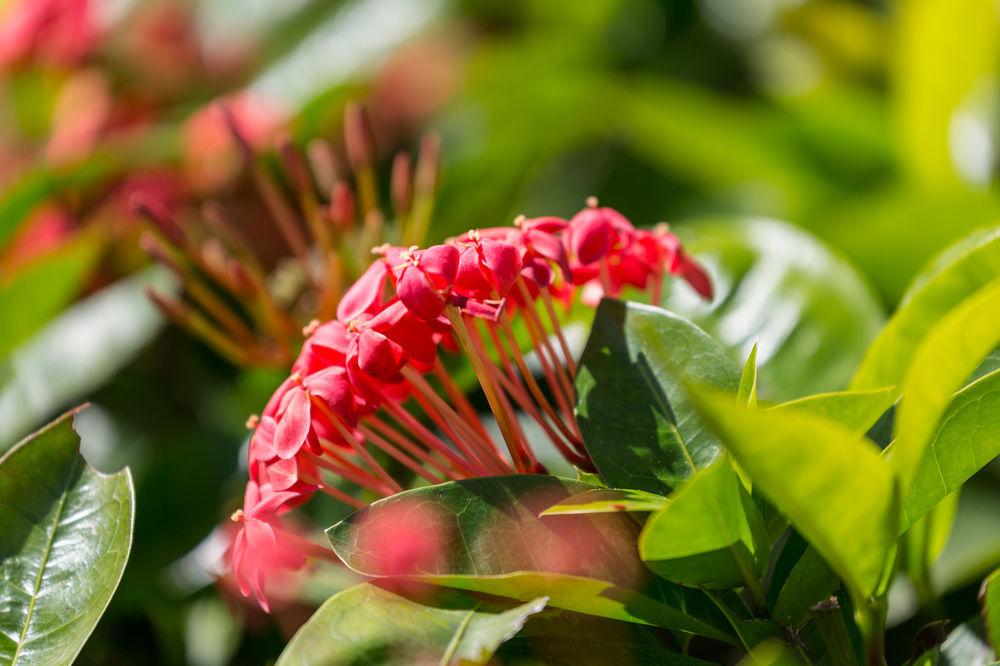 Courtyard By Marriott Waikiki Beach Honolulu Ngoại thất bức ảnh