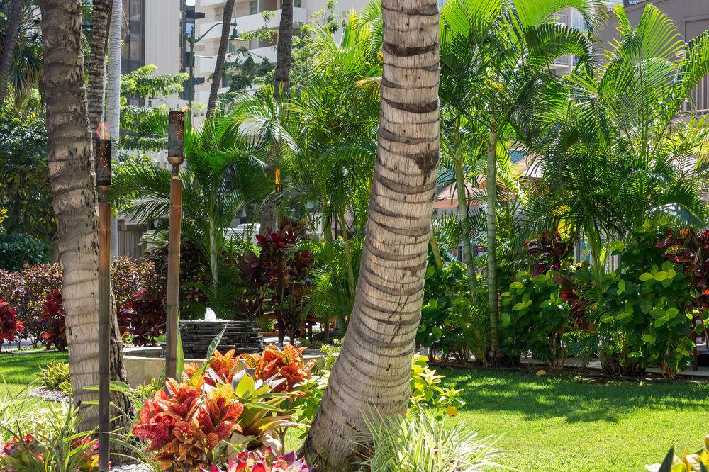 Courtyard By Marriott Waikiki Beach Honolulu Ngoại thất bức ảnh